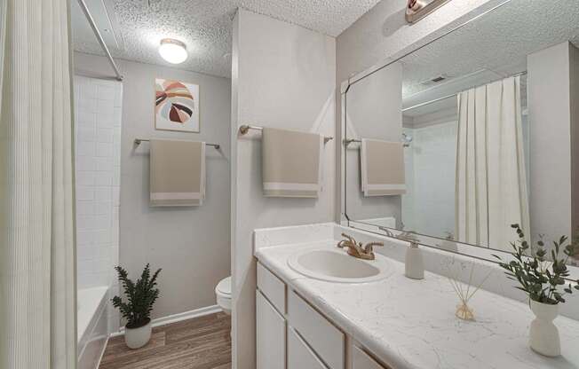 A bathroom with a white sink and a mirror.