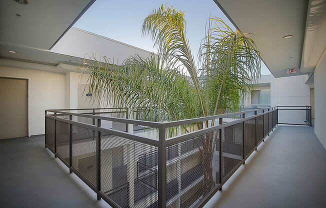 Large Balcony at Plaza Lafayette, California  