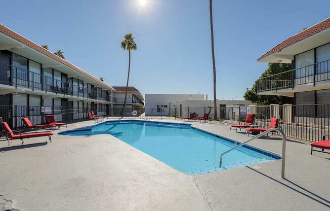 A sunny day at the pool with chairs and palm trees.