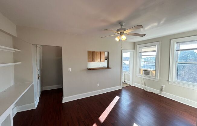 Studio, 1 bath, 310 sqft, $1,250, Unit 301