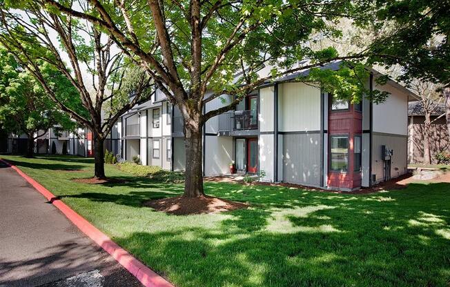 A tree in front of a building with a red line on the ground.