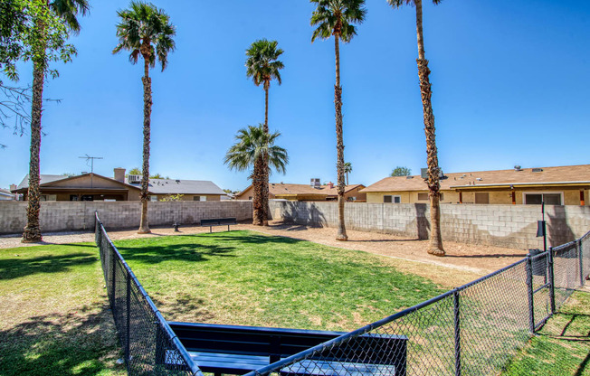 a yard with a bench and a fence with palm trees