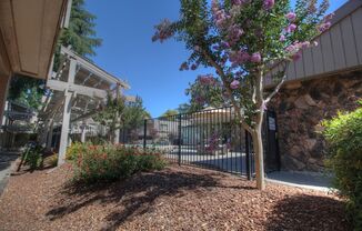 Partner-provided photo for $2425 unit