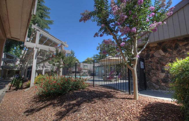 2 beds, 1.5 baths, 1,040 sqft, $2,425