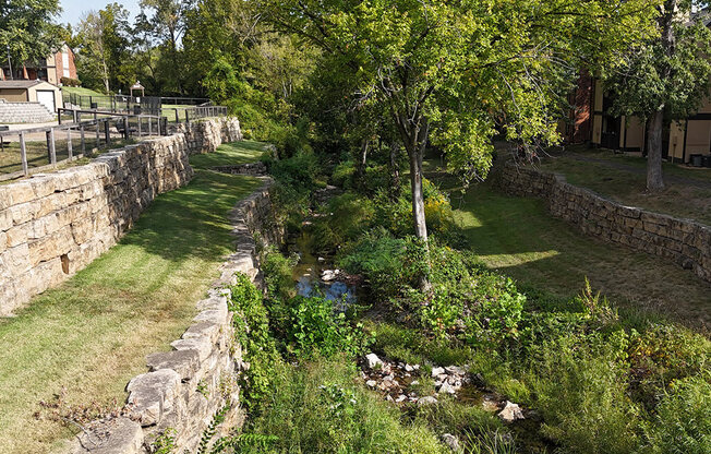 a river running through a park next to a tree