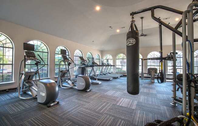A gym with a punching bag, treadmills, and other exercise equipment.