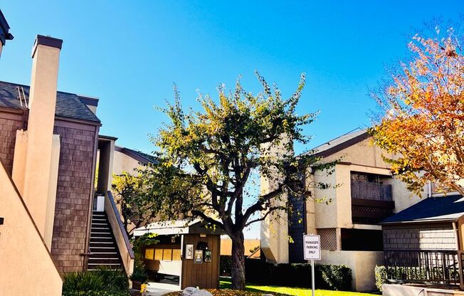 1 bed, 1 bath, $2,150, Unit E3