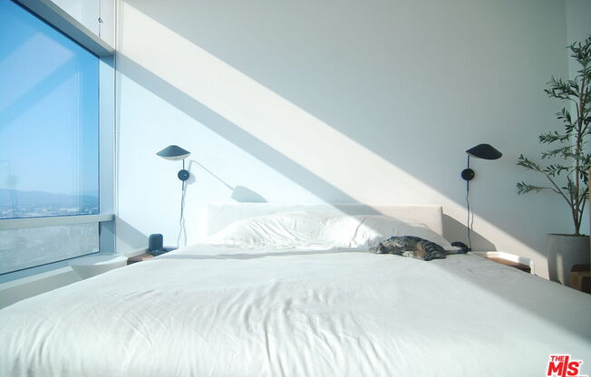 1 bed, 1.5 baths, 1,020 sqft, $5,500, Unit 31F