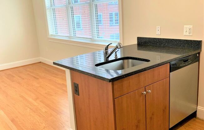 1 bed, 1 bath, 500 sqft, $2,500, Unit 505