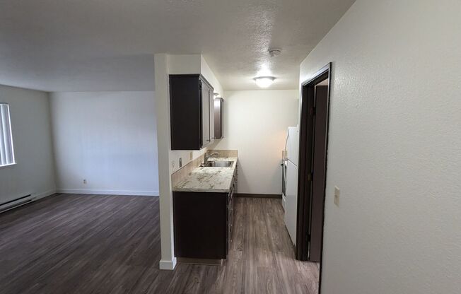 1 bed, 1 bath, $1,050, Unit Anita 3566