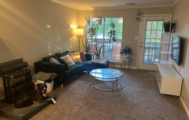 1003 RIV HVN CIR