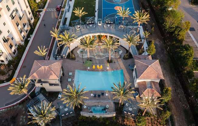An aerial view of a pool surrounded by palm trees and buildings.