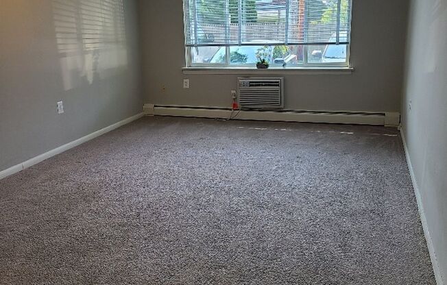 1 bed, 1 bath, 550 sqft, $1,345, Unit 117