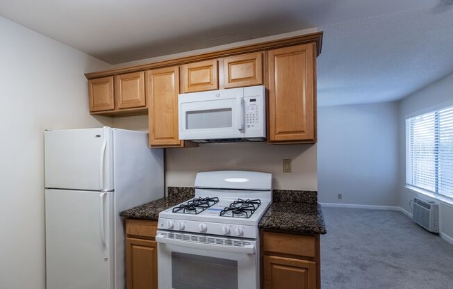 1 bed, 1 bath, 725 sqft, $1,595, Unit 17