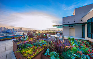 A rooftop garden with a city skyline in the background.