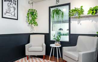 Two white chairs are in front of a window with a hanging plant.
