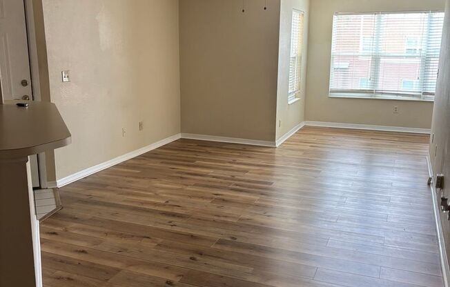 Affordable and Spacious 1 Bed in Excellent Location