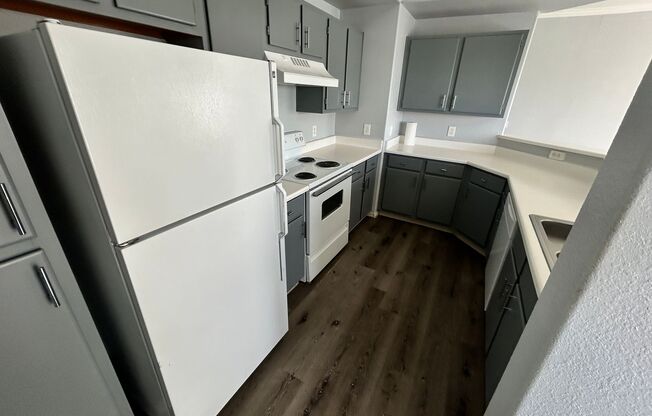 1 bed, 1 bath, $1,299, Unit UNIT 3102