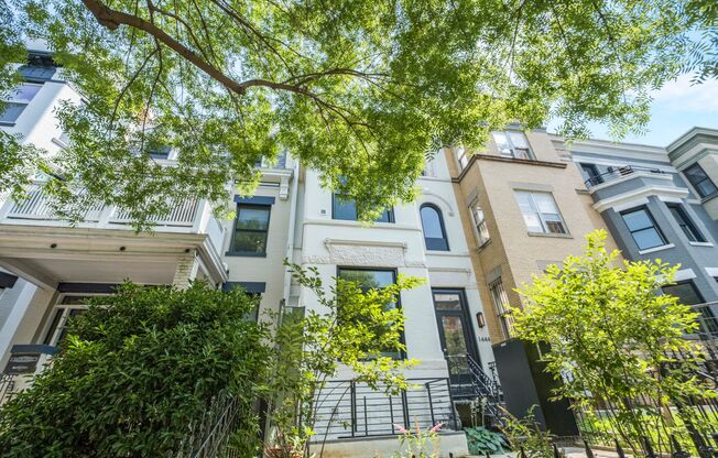 Lovely 1 BR/1.5 BA Condo in Columbia Heights!