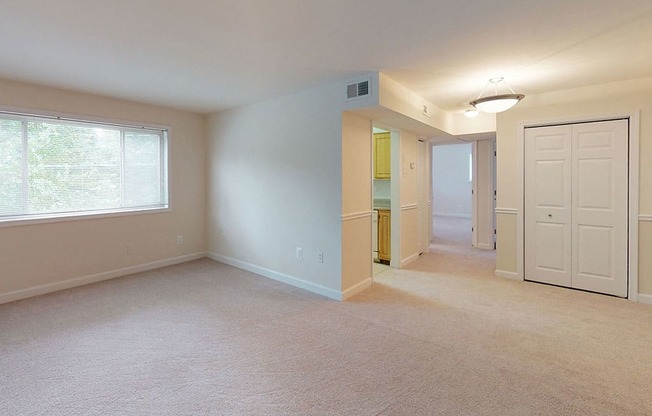 Spacious two bedroom apartment living room at Woodlee Terrace Apartments, Virginia