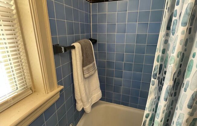 1 bed, 1 bath, 650 sqft, $995, Unit Unit 108 A900