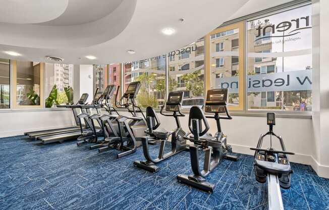 a gym with cardio equipment and weights on a blue rug