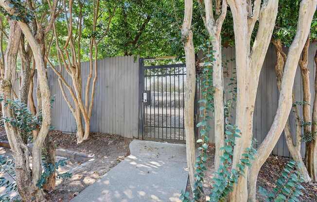 A tree-lined walkway leads to a gate.