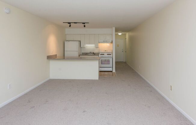 Studio, 1 bath, 518 sqft, $1,595, Unit 502N