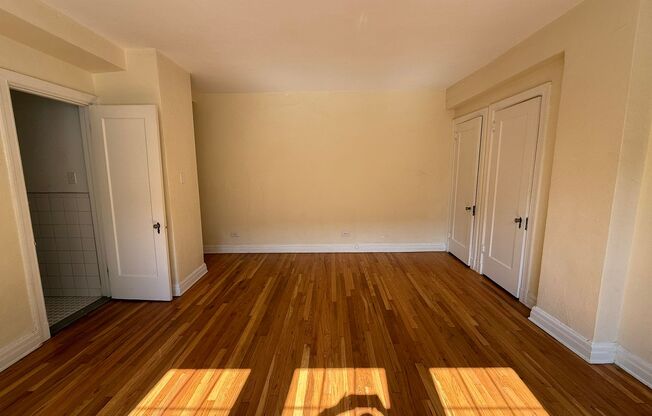 Studio, 1 bath, 294 sqft, $1,365, Unit New King Edward  3A3