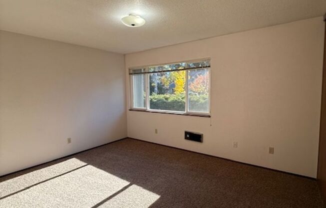 2 beds, 1 bath, $1,595