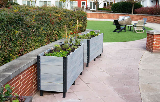 Herb Garden