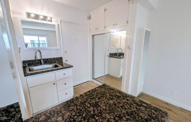 Studio, 1 bath, 263 sqft, $1,299, Unit 109