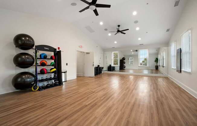 A gym with a wooden floor and a wall of exercise balls.