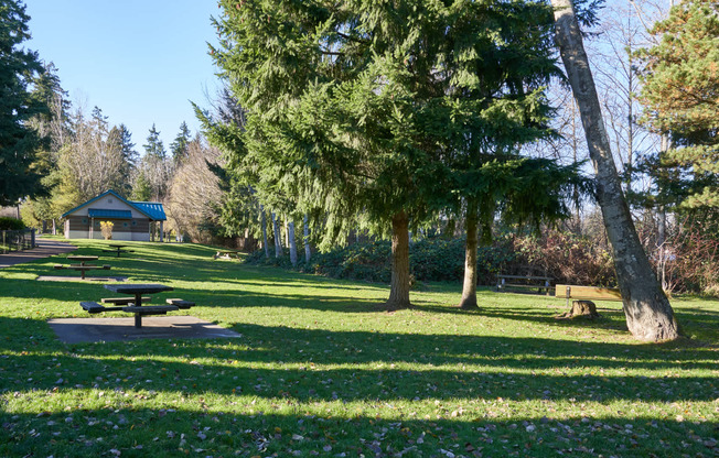 Enjoy Lynnwood's lush park spaces.