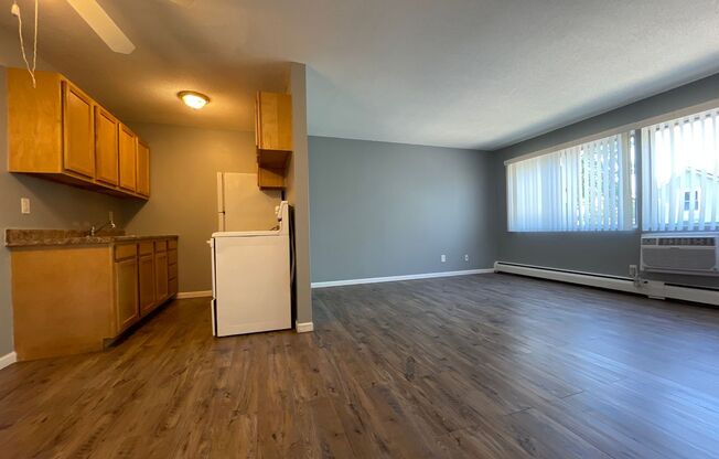 1 bed, 1 bath, $1,200, Unit 2747210