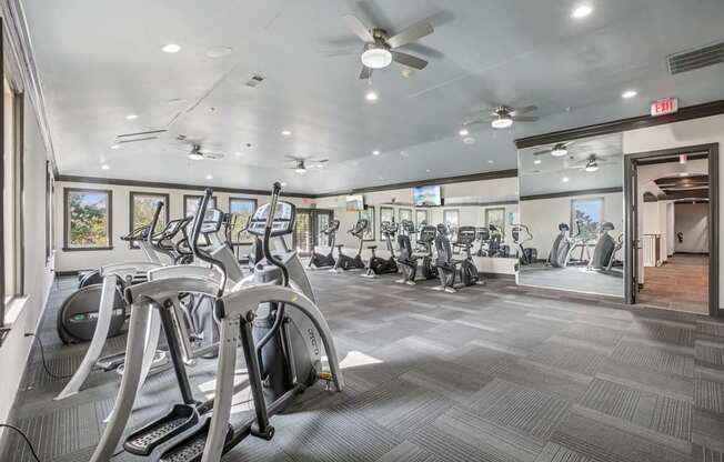 A gym with treadmills and elliptical machines.