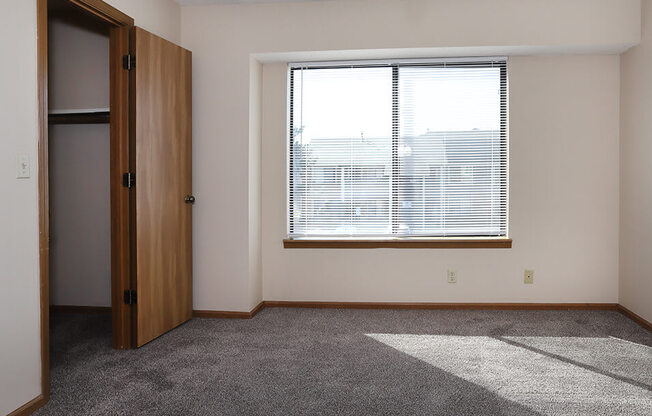 Lots of Natural Light and bedroom has walk-in closet