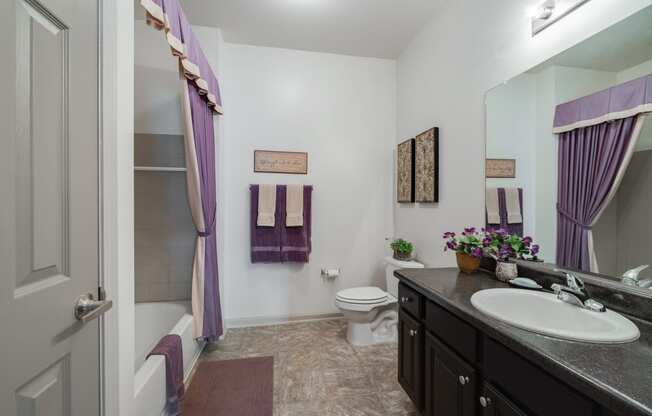 Bathroom With Large Vanity & Shower With Tub