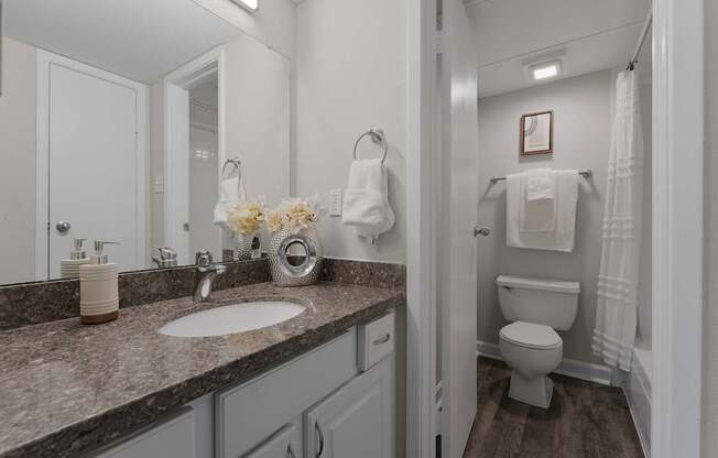 A bathroom with a sink, toilet, and a mirror.