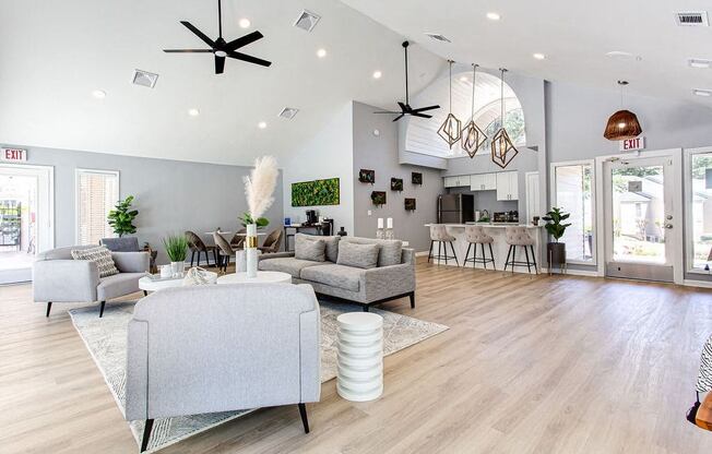A living room with a grey sofa and a grey rug.