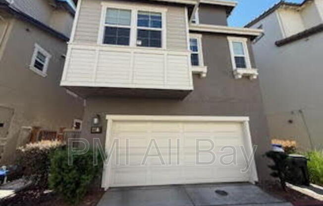 40207 ANTIGUA ROSE TER