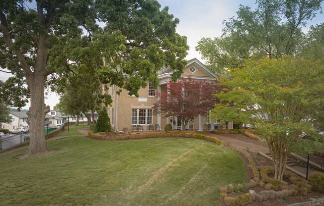 a house on a hill with a tree in front of it