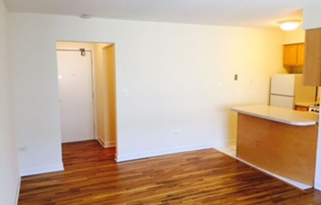 Studio, 1 bath, $1,095, Unit 310