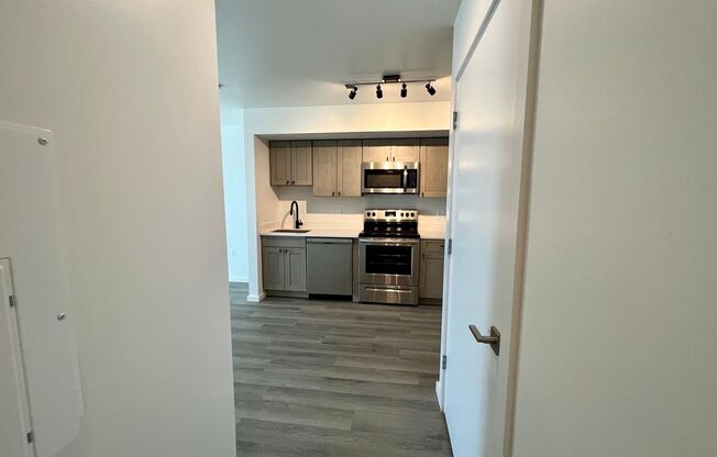 Studio, 1 bath, 450 sqft, $1,330, Unit 503