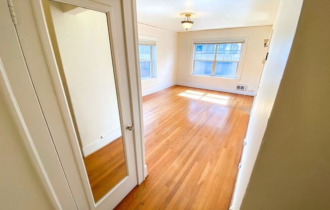 Studio, 1 bath, 365 sqft, $1,495, Unit 306