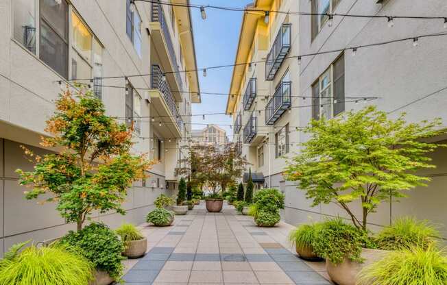 Courtyard views at Tera Apartments