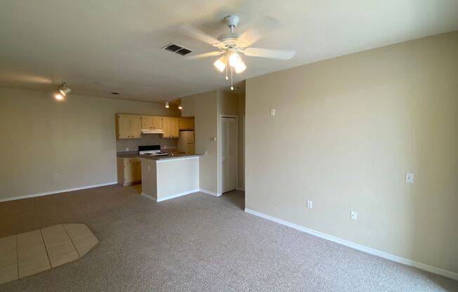 1 bed, 1 bath, $1,350