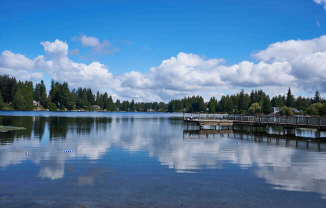 Martha Lake Park water views