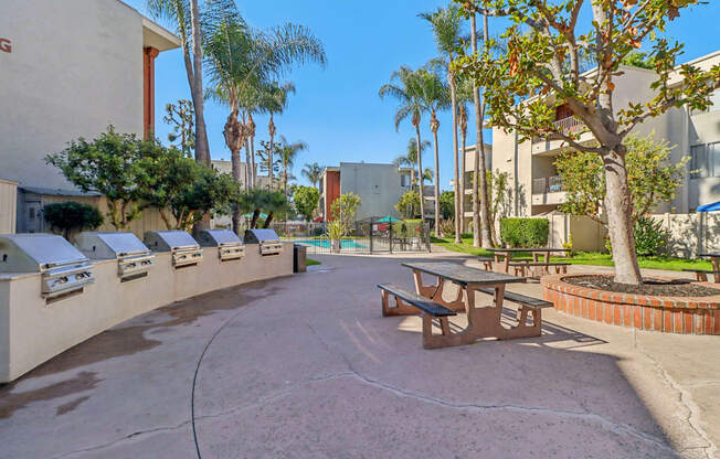 A sunny day at the outdoor picnic area with palm trees and benches.