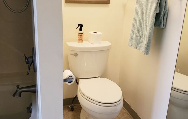 1 bed, 2 baths, $4,300